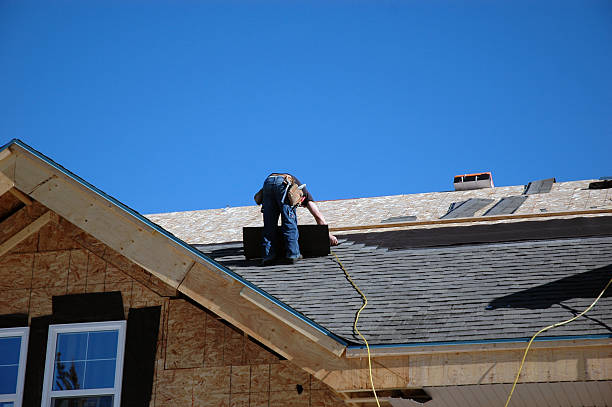 Best Roof Gutter Cleaning  in Arcola, IL