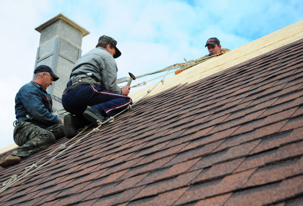 Best Local Roofing Companies  in Arcola, IL